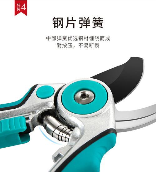 张小泉春悦整枝剪园林工具剪果树绿化园艺花艺修花剪枝剪刀修枝剪