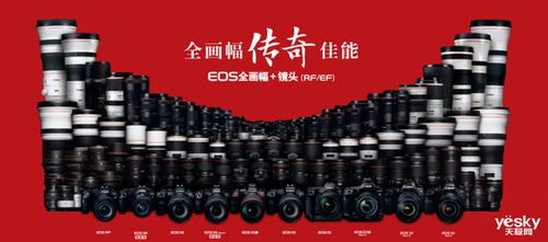 深度学习加持,老牌相机厂商发力计算摄影,佳能神经网络图片优化工具发布